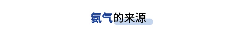 氨气来源