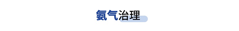 氨气治理